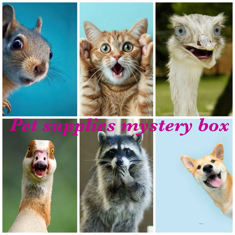 Pet supplies mystery box Let me know what pet you have and I will make a mystery